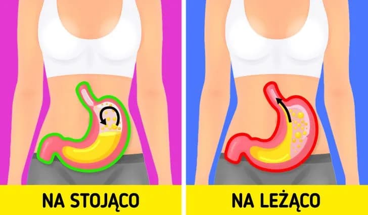 Dlaczego po jedzeniu chce się spać? Oto zaskakujące przyczyny