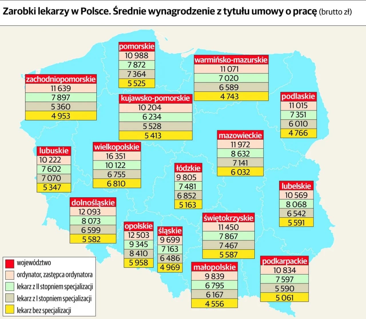 Ile zarabia neurolog? Zaskakujące różnice w wynagrodzeniach w Polsce