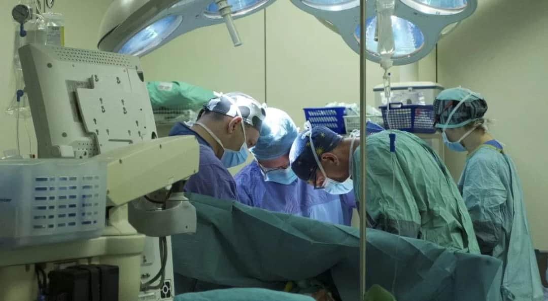 Śmierć mózgu co dalej – co musisz wiedzieć o decyzjach i emocjach