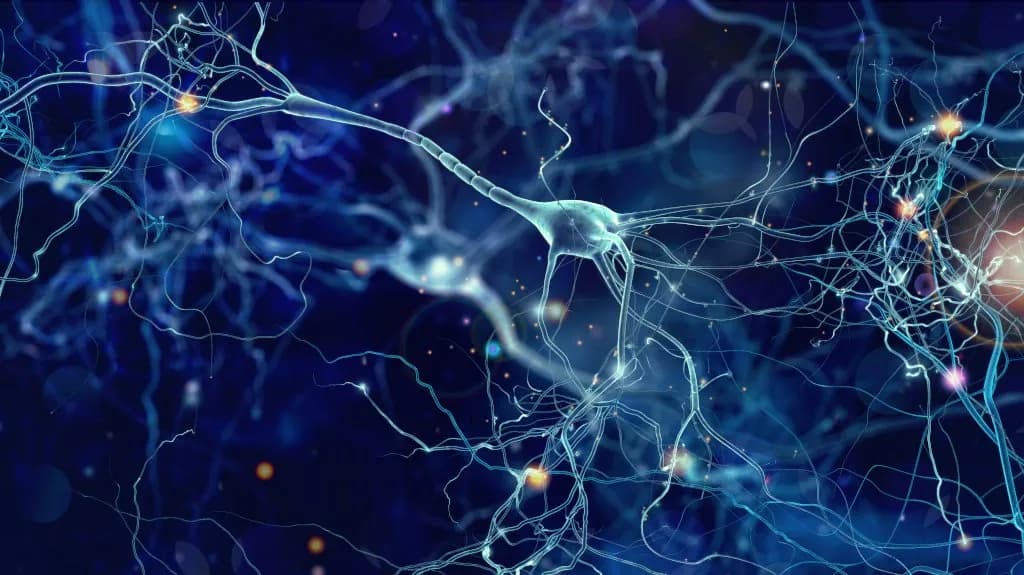 Jak wygląda wizyta u neurologa? Przygotuj się na ważne badania