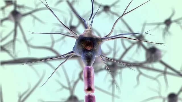 Neurolog czym się zajmuje - poznaj rolę i choroby, które leczy
